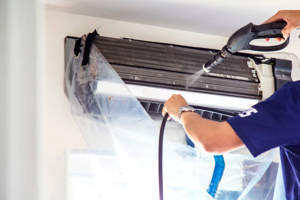 Best Mold and Mildew Removal from Ducts in Coaldale, PA